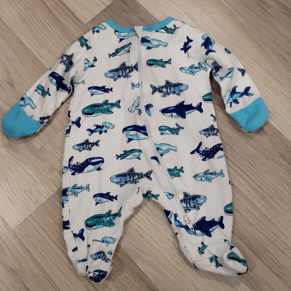 Shark Sleeper